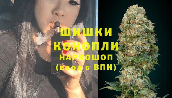 прущие крисы Билибино