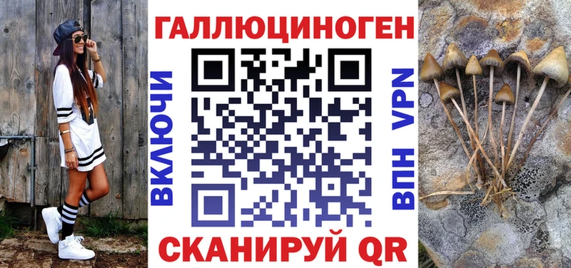 где найти наркотики  Буйнакск  Псилоцибиновые грибы Cubensis 